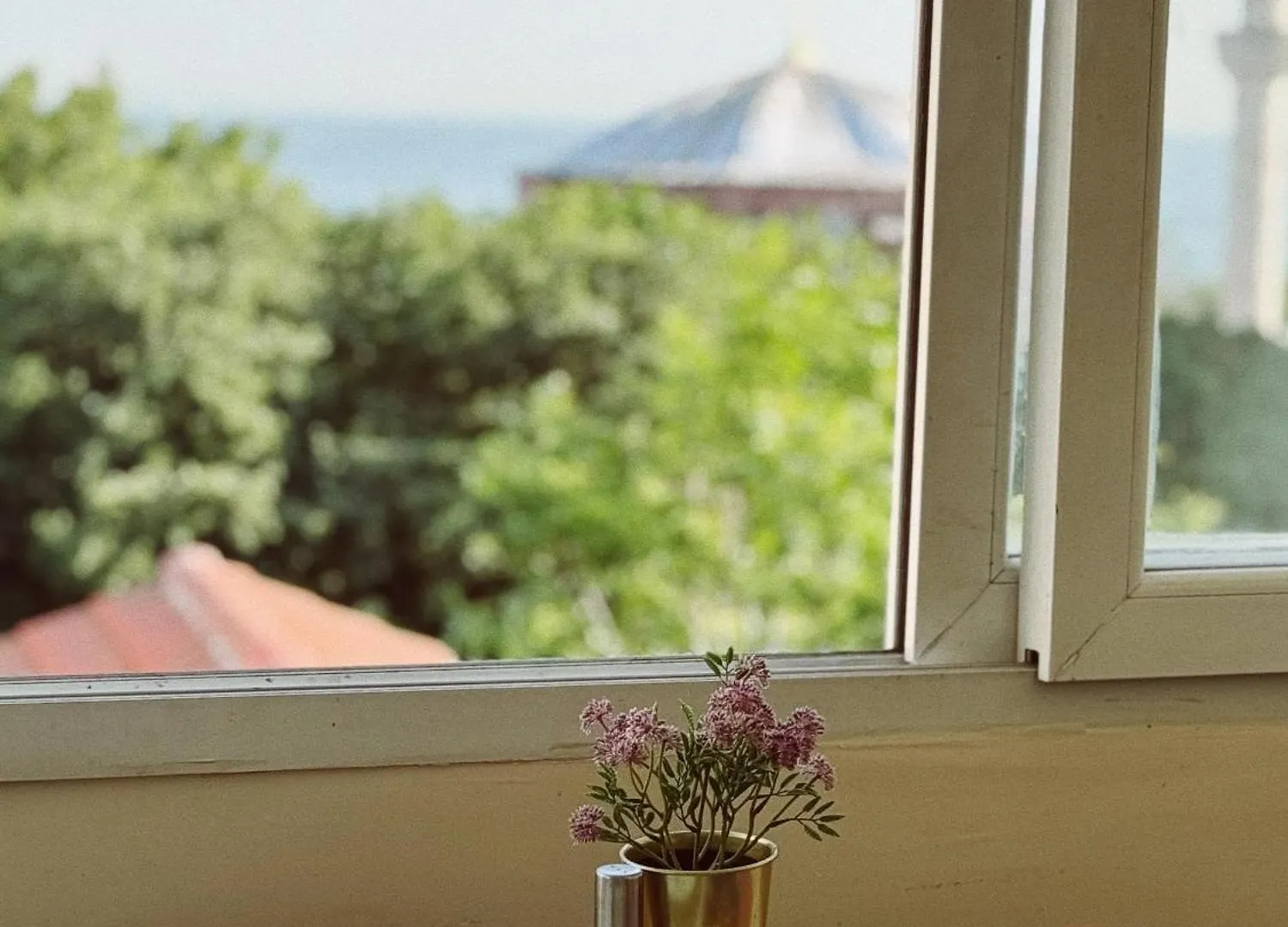 Bachos Hotel Sultanahmet Sea View Terrace Istanbul Turkey